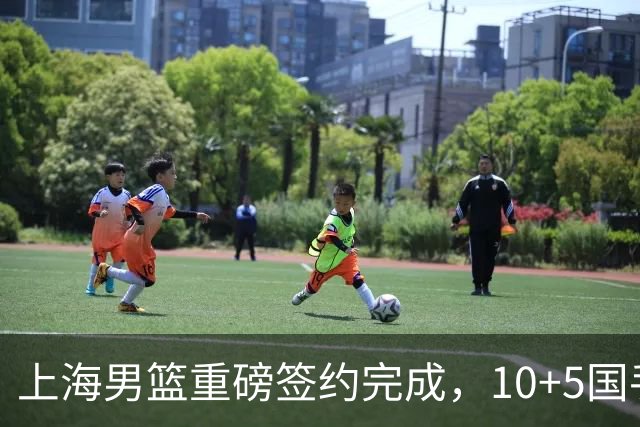 上海男篮重磅签约完成，10+5国手锋线签约两年，胡金秋加盟只差官宣