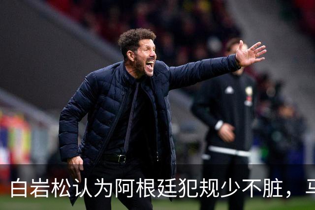 白岩松认为阿根廷犯规少不脏，马宁：我们更多是看犯规性质