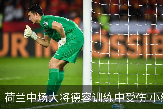 荷兰中场大将德容训练中受伤 小组赛次轮出战成疑