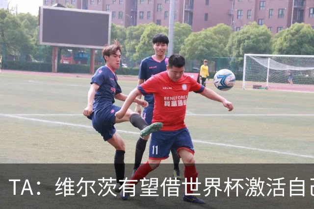 TA：维尔茨有望借世界杯激活自己，伊劳拉的战术或能释放其潜力
